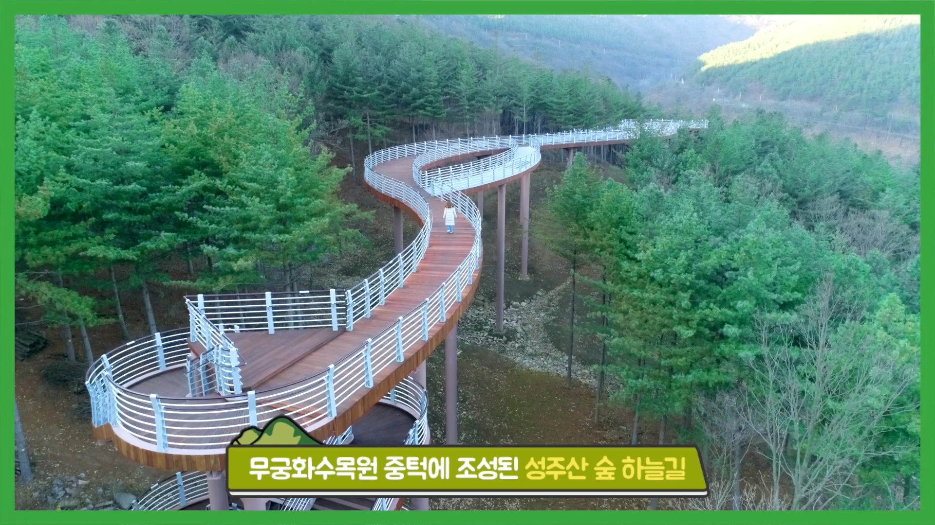 성주산 숲 하늘길